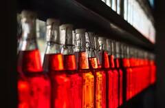 Liquor Bottle Limit: આચાર સંહિતા દરમિયાન તમે કેટલો દારૂ સાથે લઇને જઇ શકો છો?