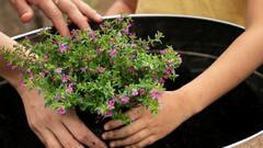 बच्चों को जीवन के ये पांच पाठ सिखाने हैं? तो गार्डनिंग जरूर सिखाएं