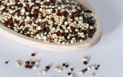 Millet Benefits : உங்கள் உணவில் தினை ஏன் சேர்க்க வேண்டும் என்பதற்கான 5 காரணங்கள்!