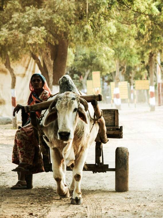 विदेशियों की एंट्री पर है बैन, जानें कौन सा है वो गांव
