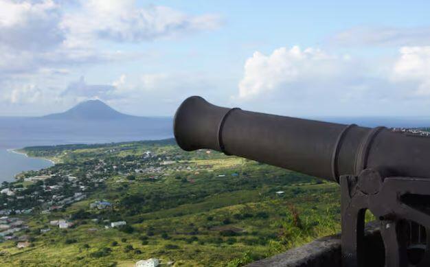 ਇਹ ਬੰਦੂਕ Schwerer Gustav ਯੁੱਧ ਵਿੱਚ ਵਰਤੀ ਗਈ ਸੀ। ਇਸ ਨੂੰ ਦੁਨੀਆ ਦੀ ਸਭ ਤੋਂ ਵੱਡੀ ਕੈਲੀਬਰ ਬੰਦੂਕ ਕਿਹਾ ਜਾ ਰਿਹਾ ਸੀ। ਇਸ ਹਥਿਆਰ ਬਾਰੇ ਕਿਹਾ ਜਾਂਦਾ ਹੈ ਕਿ ਇਹ 47 ਕਿਲੋਮੀਟਰ ਦੀ ਦੂਰੀ ਤੱਕ 7 ਟਨ ਵਜ਼ਨ ਵਾਲੇ ਗੋਲੇ ਦਾਗ ਸਕਦਾ ਹੈ।