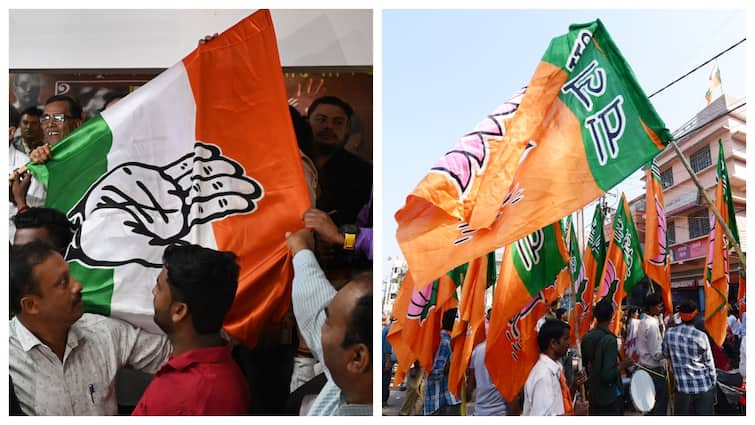 ABP-CVoter Opinion Poll: Congress, BJP Likely To Be Neck-And-Neck In Goa Lok Sabha Elections ABP-CVoter Opinion Poll: Congress, BJP Likely To Be Neck-And-Neck In Goa Lok Sabha Elections