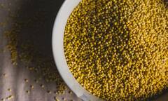 Millet Benefits : உங்கள் உணவில் தினை ஏன் சேர்க்க வேண்டும் என்பதற்கான 5 காரணங்கள்!