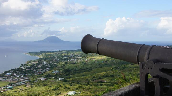 इस बंदूक को श्वेरर गुस्ताव युद्ध में इस्तेमाल किया गया था. इसे दुनिया की सबसे बड़ी कैलिबर वाली बंदूक कही गई थी. इस हथियार के बारे में कहा जाता है कि ये 47 किलोमीटर दूर तक 7 टन वजनी गोले दाग सकता था.