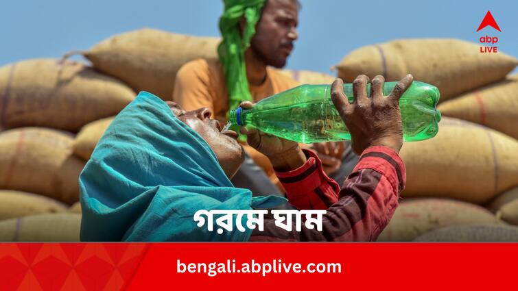 Know If One Should Drink More Water For More Sweating In Bengali Summer Health Tips: গরমে বেশি ঘামলে বেশি জল খাওয়া ঠিক ?