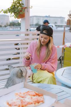 Pet Care : पाळीव प्राण्यांनाही म्हातारपणी हवी असते अतिरिक्त काळजी आहाराची घ्या काळजी.