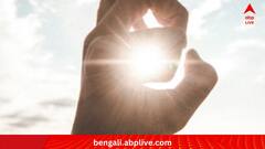 Lifestyle:গরমে সুস্থ থাকতে কেন শসা খাওয়া জরুরি?