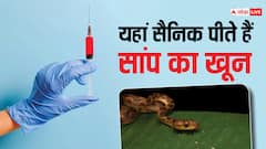 इस देश के सैनिक पीते हैं सांप का खून, इसके पीछे की वजह जानकर होंगे हैरान