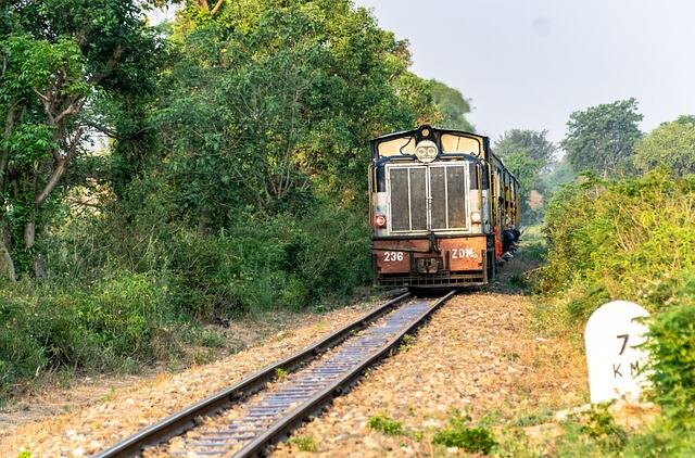 लोग कोच में घुसकर वहां टिकट लेकर बैठे लोगों से एडजस्ट करने के लिए कहने लगते हैं, एक सीट पर दो लोग बैठ जाते हैं.