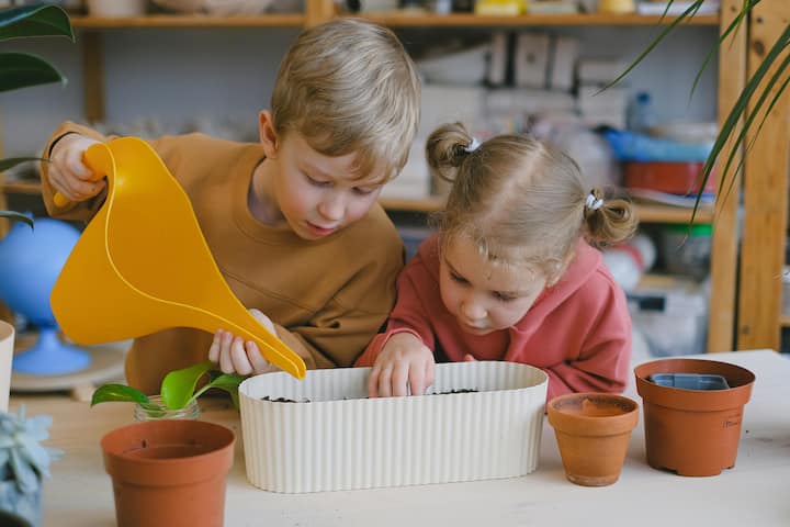 When we plant a seed in the soil and see it sprout, we know that the fruits of patience are sweet.  Gardening increases children's understanding.  (Photo credit: Pexel.com)