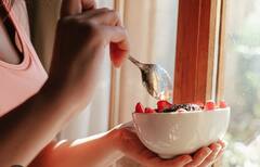 ડાયાબિટીસમાં દરેક ફ્રૂટ હેલ્ધી નથી,જાણો ક્યાં ફ્રૂટ્સ ખાવા જોઈએ