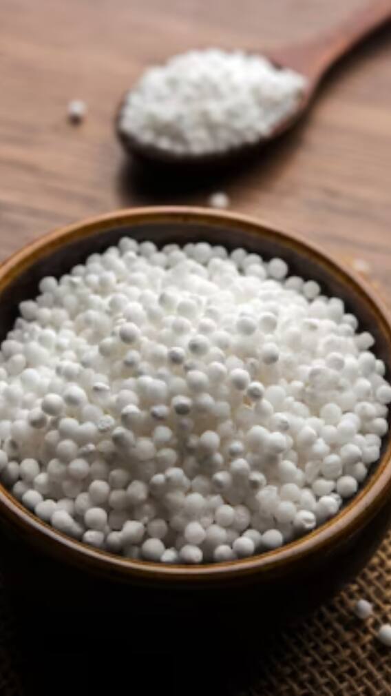 कहां उगता है साबूदाना और कैसे होता है तैयार?