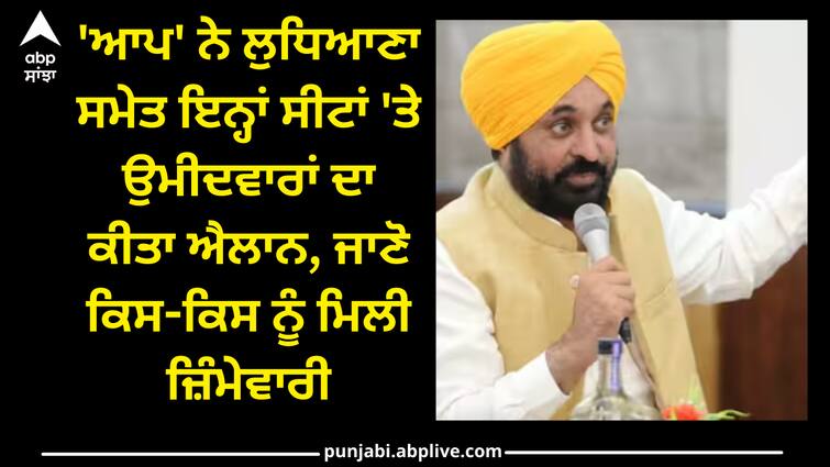 AAP announce Candidates List ludhiana firozpur jalandhar GURDASPUR AAP Candidate List: 'ਆਪ' ਨੇ ਲੁਧਿਆਣਾ ਸਮੇਤ ਇਨ੍ਹਾਂ ਸੀਟਾਂ 'ਤੇ ਉਮੀਦਵਾਰਾਂ ਦਾ ਕੀਤਾ ਐਲਾਨ, ਜਾਣੋ ਕਿਸ-ਕਿਸ ਨੂੰ ਮਿਲੀ ਜ਼ਿੰਮੇਵਾਰੀ