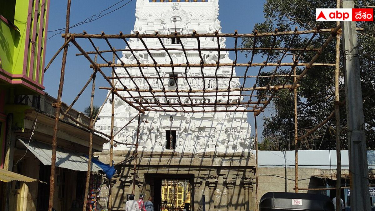 Ram Navami 2024: శ్రీరాముడికి కుడి వైపున సీతమ్మ కొలువైన ఆలయం మీకు తెలుసా, చరిత్ర ఇదీ