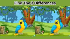 Optical Illusion: इस तस्वीर में छिपी हैं तीन गलतियां, पैनी नजर वाले 10 सेकेंड में ढूंढकर निकालिए