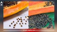 Health News: ਸਿਹਤ ਦਾ ਖਜ਼ਾਨਾ ਪਪੀਤੇ ਦੇ ਬੀਜ, ਜਾਣੋ ਕਿਹੜੀਆਂ ਬਿਮਾਰੀਆਂ ਤੋਂ ਮਿਲਦਾ ਛੁਟਕਾਰਾ