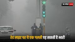 Traffic Rules: सिग्नल पर स्टॉप लाइन करते ही लगता है इतना फाइन, कहीं आप भी तो बार-बार नहीं कर रहे ये गलती?