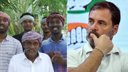 village cooking channel explained allegation on Rahul Gandhi Rahul Gandhi: வில்லேஜ் குக்கிங் சேனல் தாத்தாவுக்கு உதவ மறுத்தாரா ராகுல் காந்தி? நடந்தது என்ன?