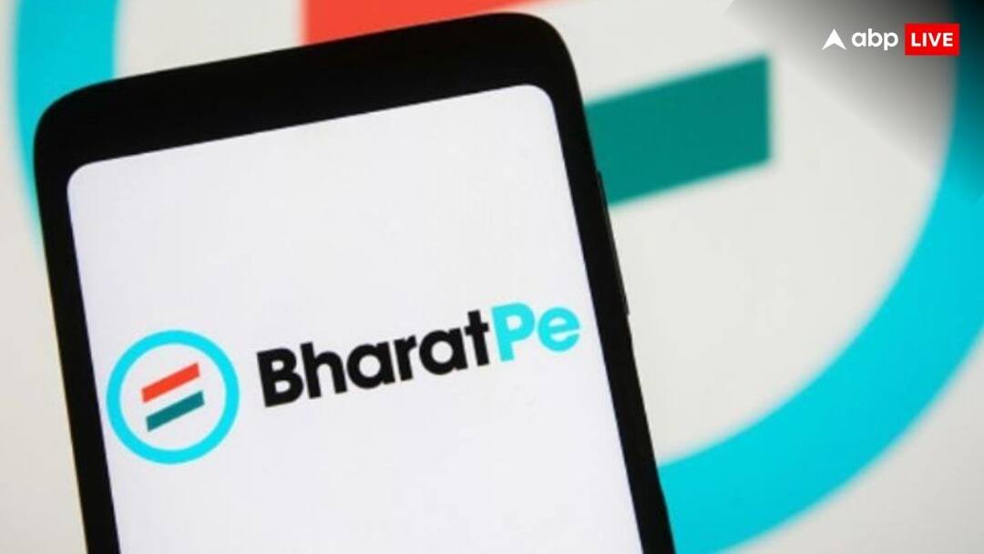 BharatPe CEO Nalin Negi will become ceo of BharatPe this post is vacant from 15 months BharatPe: भारतपे को साल भर बाद मिला सीईओ, नलिन नेगी को मिली जिम्मेदारी 