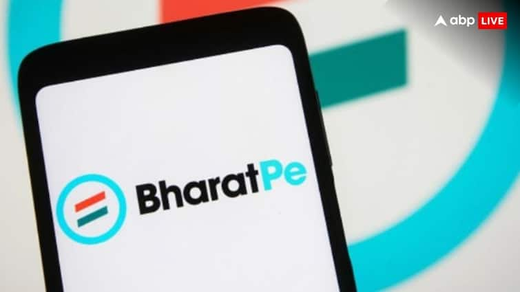 BharatPe: भारतपे को साल भर बाद मिला सीईओ, नलिन नेगी को मिली जिम्मेदारी 