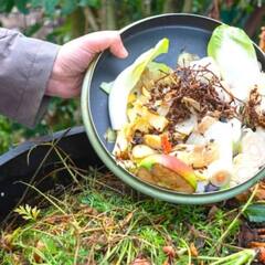 Organic Fertilizers : ਬੇਕਾਰ ਪਏ ਫਲਾਂ ਤੇ ਸਬਜ਼ੀਆਂ ਦੇ ਛਿਲਕਿਆਂ ਤੋਂ ਖੁਦ ਹੀ ਤਿਆਰ ਕਰੋ ਜੈਵਿਕ ਖਾਦ