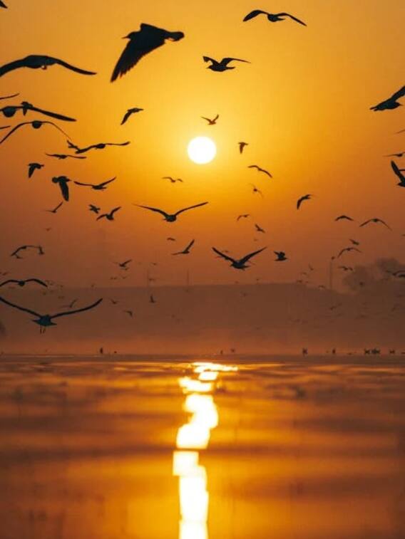 गंगा और यमुना में बड़ी नदी कौन सी है?