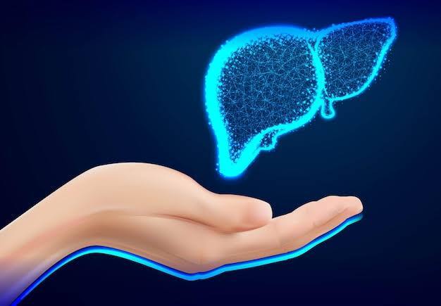 सेहतमंद रहने के लिए हेल्थ एक्सपर्ट एक हैल्दी लिवर(Liver Health) की वकालत करते आए हैं. हैल्दी लिवर आपके पूरे शरीर की सेहत को संभाल कर रखता है लेकिन खराब लिवर अपने साथ साथ दूसरी कई परेशानियों का सबब बन जाता है. ऐसे में अक्सर कहा जाता है कि ज्यादा शराब पीने से लिवर पर बुरा असर पड़ता है क्योंकि शराब लिवर के लिए बुरी कही जाती है. लेकिन क्या आप जानते हैं कि लिवर की सेहत केवल शराब को छोड़ने से ही सही नहीं रह सकती. दरअसल कुछ और चीजे हैं जिनके सेवन से लिवर को अच्छा खासा नुकसान हो जाता है.