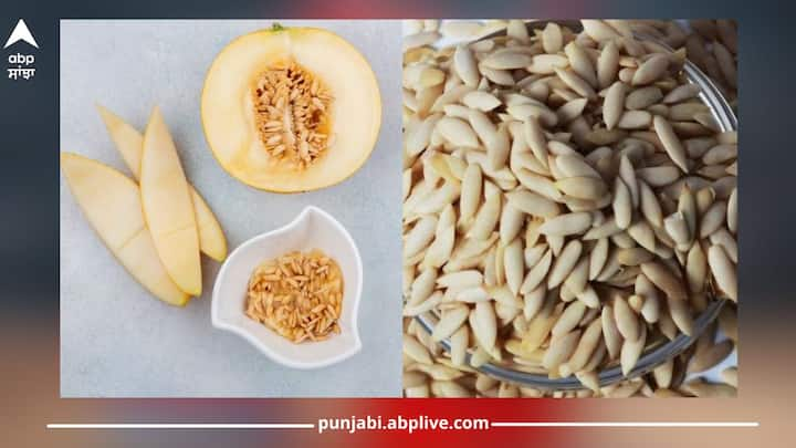 Melon Seeds Benefits: ਖਰਬੂਜੇ ਦੇ ਨਾਲ ਇਸ ਦੇ ਬੀਜ ਵੀ ਗੁਣਾਂ ਦੇ ਭੰਡਾਰ ਹਨ। ਪਰ ਬਹੁਤ ਸਾਰੇ ਲੋਕ ਖਰਬੂਜਾ ਖਾ ਕੇ ਇਸ ਦੇ ਬੀਜ ਬੇਕਾਰ ਸਮਝ ਕੇ ਕੂੜੇ ਦੇ ਵਿੱਚ ਸੁੱਟ ਦਿੰਦੇ ਹਨ। ਜੇਕਰ ਤੁਸੀਂ ਵੀ ਅਜਿਹਾ ਕਰਦੇ ਹੋ ਤਾਂ ਇਸ ਆਦਤ ਨੂੰ ਸਹੀ ਕਰੋ