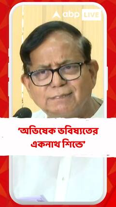 অভিষেককে ভবিষ্যতের 'একনাথ শিন্ডে' বলে কটাক্ষ সেলিমের