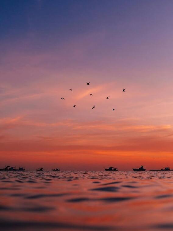 कितनी है दिल्ली में यमुना नदी की गहराई