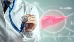 Liver Health: દારૂ જ નહી આ ચીજો પણ ખરાબ કરી શકે છે તમારુ લીવર