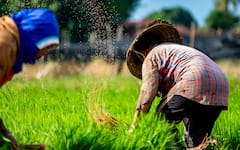 गर्मी के समय खेतों में काम करते वक्त इन बातों का ध्यान रखें किसान भाई, नहीं तो हो सकती है परेशानी