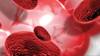 World Hemophilia Day 2024: ஹீமோபிலியா என்றால் என்ன? இந்த நோய் எதனால் வருகிறது..! முழு தகவல் இதோ