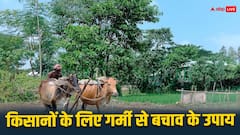 गर्मी के समय खेतों में काम करते वक्त इन बातों का ध्यान रखें किसान भाई, नहीं तो हो सकती है परेशानी