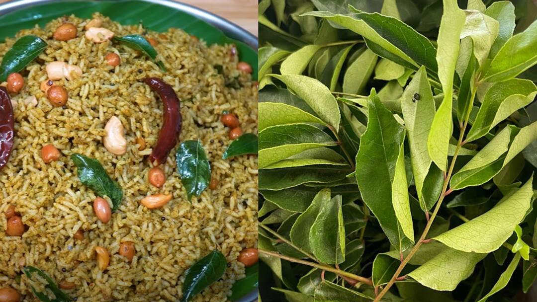 tasty curry leaves rice procedure kariveppilai Karuveppilai sadham pudhina kothamalli Karuveppilai Sadham : செம்மையான லஞ்ச் பாக்ஸ் ரெசிப்பி.. கருவேப்பிலை சாதம் செஞ்சு இப்படி கலக்குங்க..