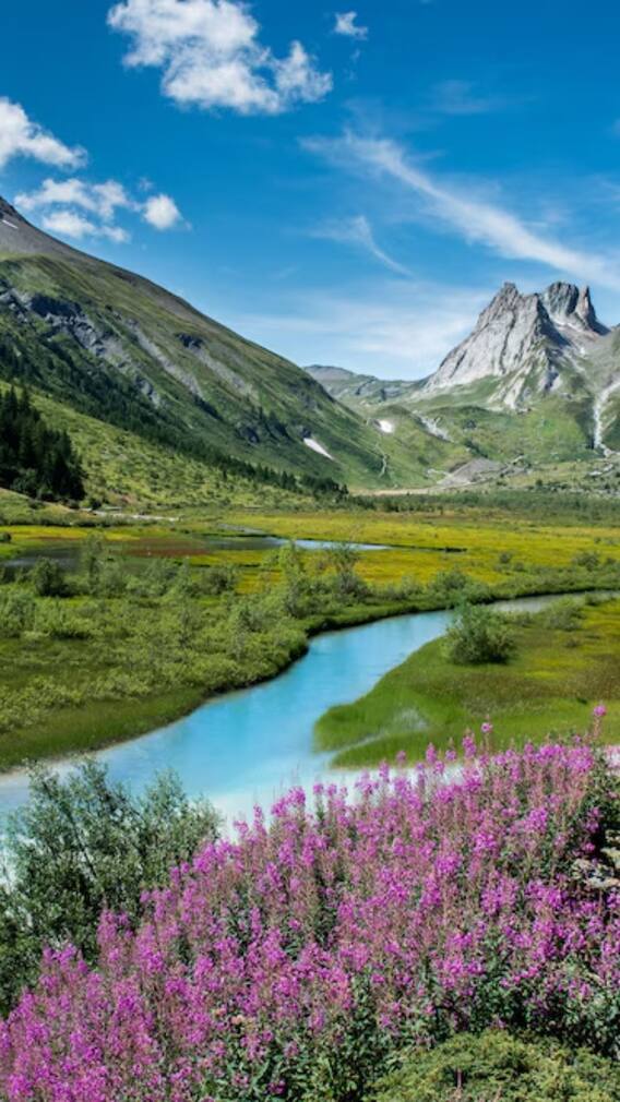 भारत की किन जगहों पर हर भारतीय जमीन नहीं खरीद सकता?