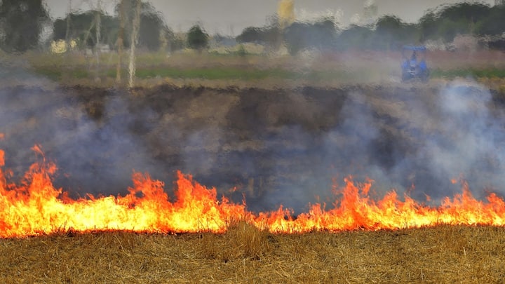Hundreds of acres of wheat burnt to ashes in fire in Buxar four burnt to death one dead ANN Buxar News: बक्सर में आग ने मचाई तबाही, सैकड़ों बीघे गेहूं जलकर राख, चार झूलसे, एक की हुई मौत