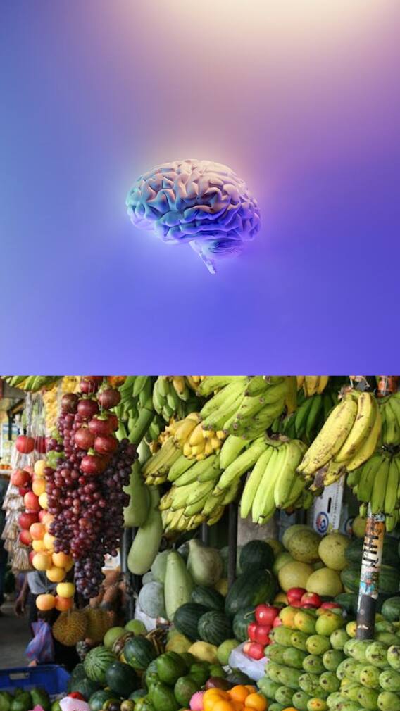 மூளையின் செயல்பாட்டை மேம்படுத்த உதவும் 10 உணவுகள்
