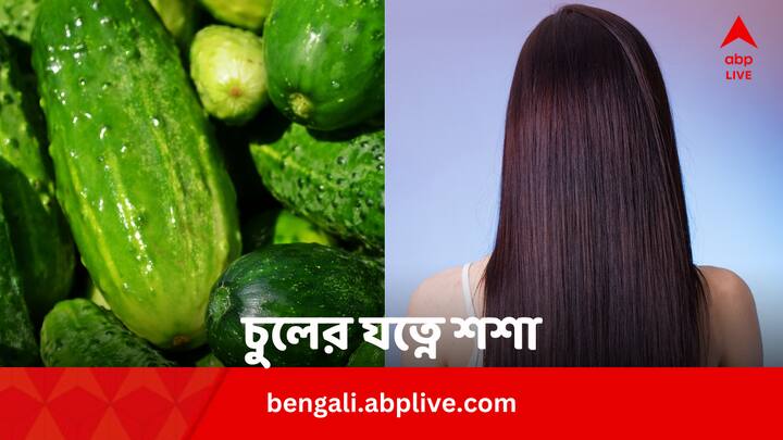 Cucumber Benefits For Hair: গরমে পেটের পাশাপাশি চুলের জন্য শশা বেশ উপকারী। এর নির্যাস বানিয়ে ব্যবহার করলে উপকার পাবেন।