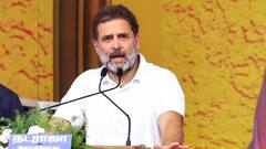 क्या अमेठी से चुनाव लड़ेंगे राहुल गांधी? कर दिया खुलासा