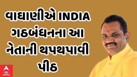Bhavnagar | જીતુ વાઘાણીએ INDIA ગઠબંધનના આ નેતાની થપથપાવી પીઠ, જુઓ વીડિયોમાં