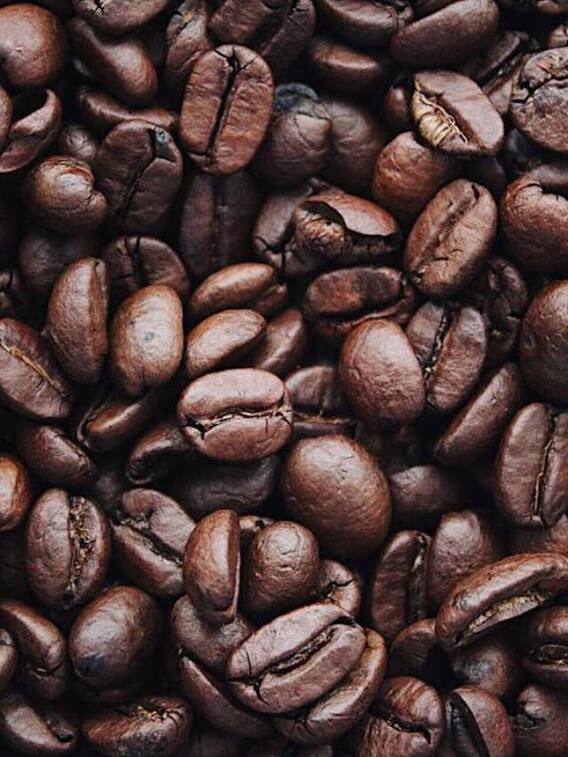 घर पर उगाएं कॉफी और हर सुबह लें ताजी कॉफी का आनंद