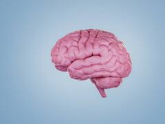 World Haemophilia Day 2024:  Recognising And Managing Common Co-occurring Conditions