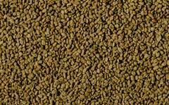 Cholesterol : கொலஸ்ட்ராலை விரட்டி அடிக்க இந்த விதைகள் போதுமாம்!