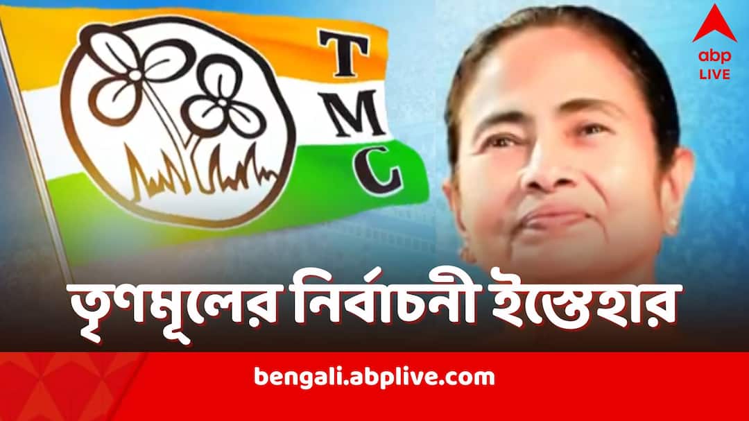 Lok Sabha Election 2024: TMC Election Manifesto Released with 10 promises of Mamata Banerjee TMC Election Manifesto: বর্ধিত হারে মজুরি, বিনামূল্যে LPG, ৫০ শতাংশ MSP…তৃণমূলের ইস্তেহারে 'দিদির ১০ শপথ'