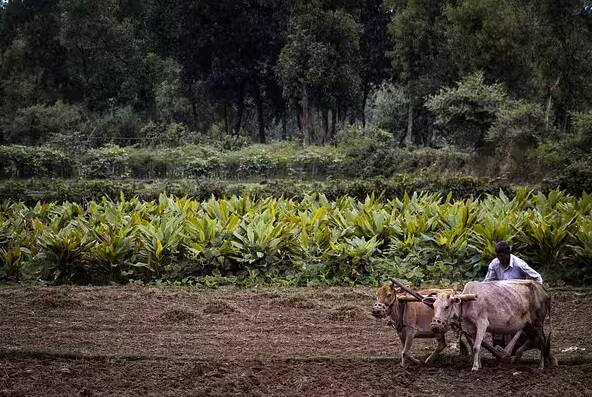 પાંચમું અને છેલ્લું કારણ એ હોઈ શકે છે કે પીએમ કિસાન ઇ-કેવાયસી નથી કરાવી રહ્યું, કેવાયસી વિના હવે કિસાન યોજનાનો લાભ ઉપલબ્ધ નથી.