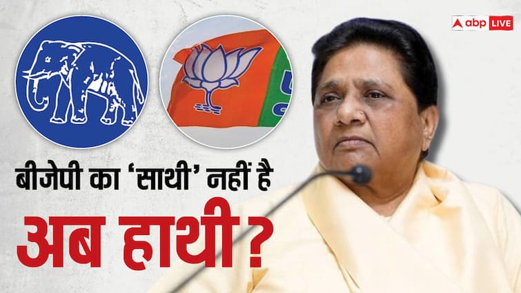 How has Mayawati distributed tickets so far to revive the image of BJP B Team BSP Uttar Pradesh ABPP 9 फैसले और बीजेपी की 'B' टीम: मायावती ने बीएसपी की छवि उबारने के लिए अब तक कैसे बांटे टिकट?
