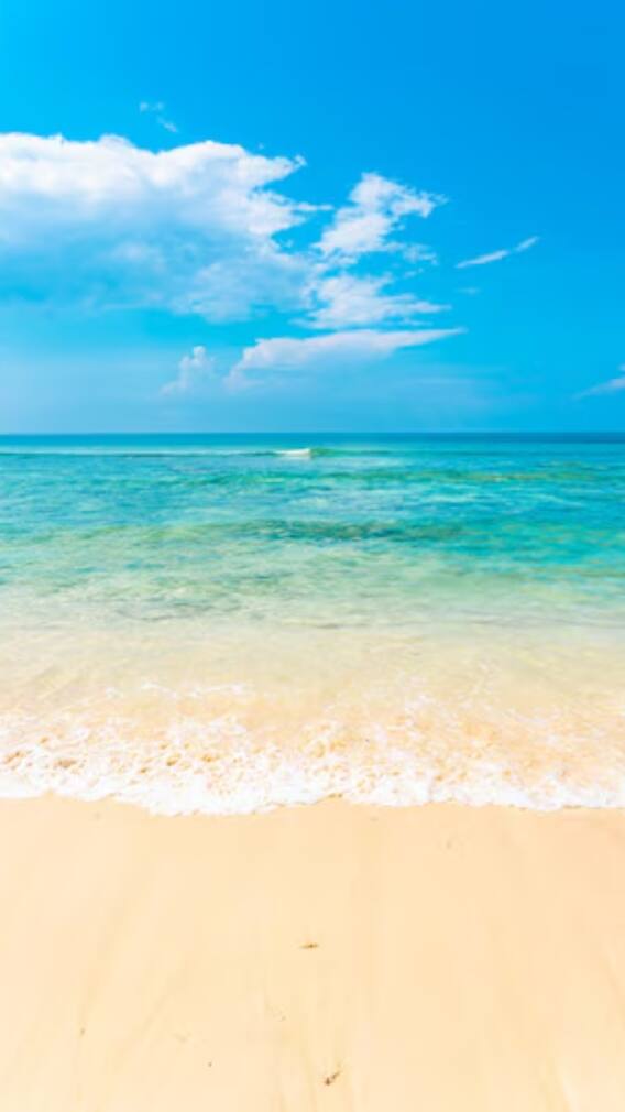 क्या गोवा में भी हैं न्यूड बीच?