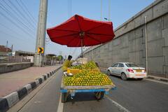 Heatwave Alert: ગરમી અને હીટ વેવથી સાવધાન! ઘરની બહાર નીકળતા પહેલા જાણી લો હવામાન વિભાગની આગાહી