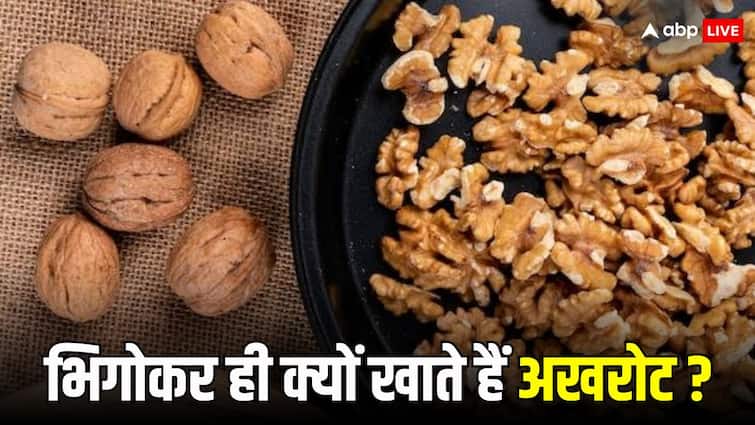 diet tips soaked walnuts health benefits in hindi Soaked Wallnut: अखरोट को भिगोकर ही क्यों खाना चाहिए, जानें अक्सर क्यों दी जाती है ये सलाह